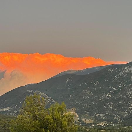 Les Terrasses Du Ventoux Apartment Mollans-sur-Ouveze ภายนอก รูปภาพ